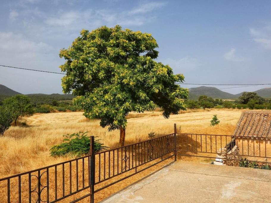 Cortijo Calma - Countryside Peace & Tranquility Lejlighed Oria Eksteriør billede