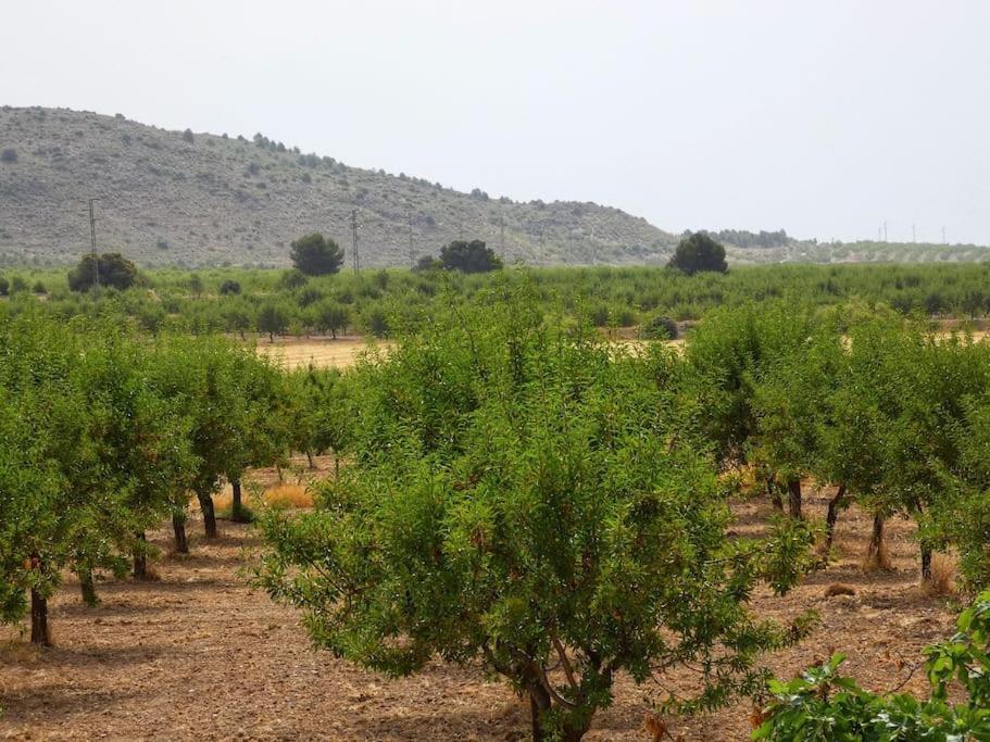 Cortijo Calma - Countryside Peace & Tranquility Lejlighed Oria Eksteriør billede
