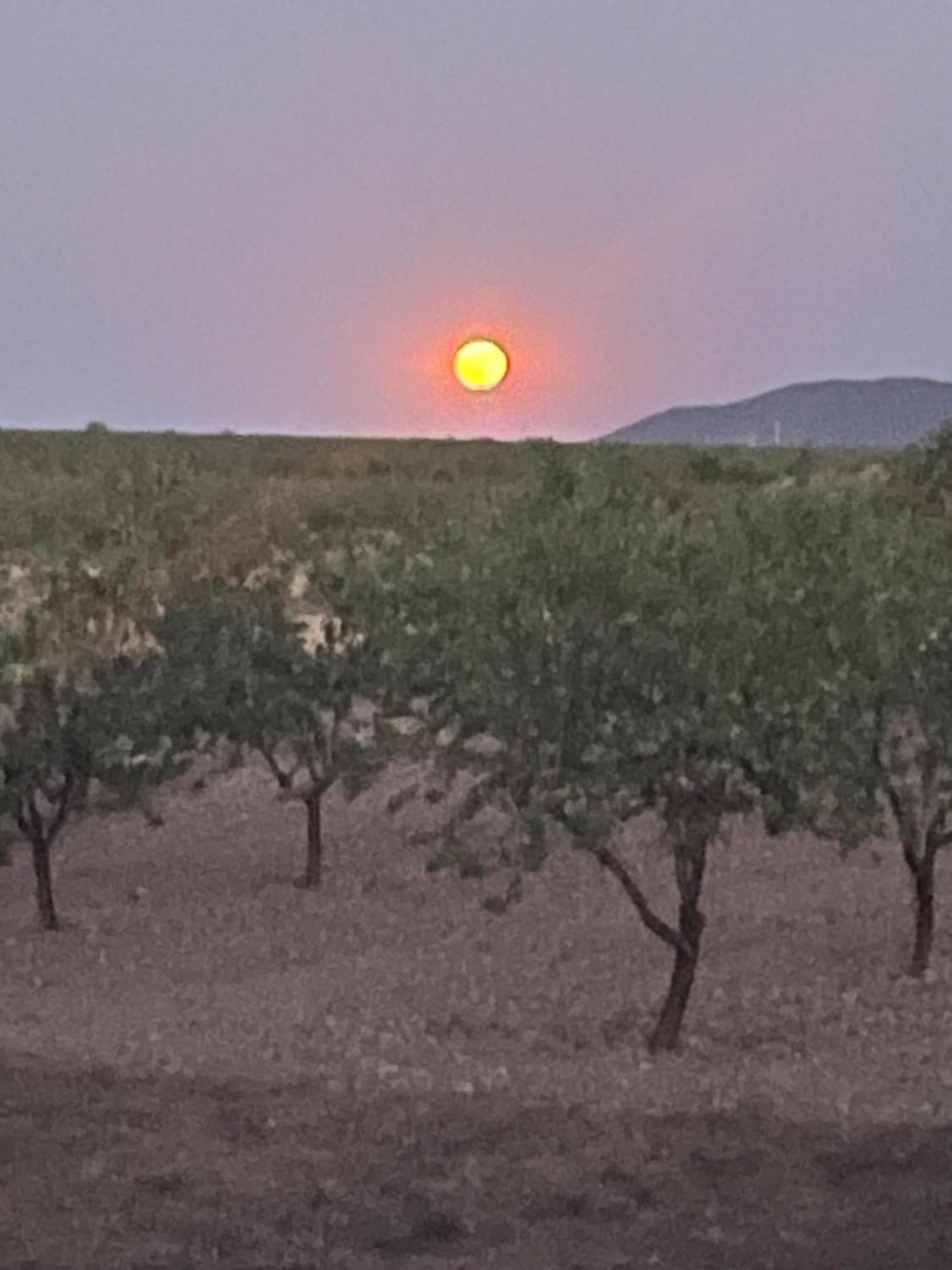 Cortijo Calma - Countryside Peace & Tranquility Lejlighed Oria Eksteriør billede